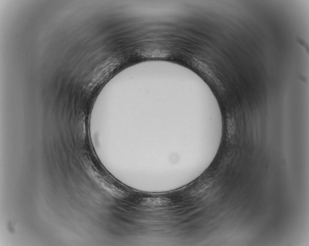 X0000099510541200806051149