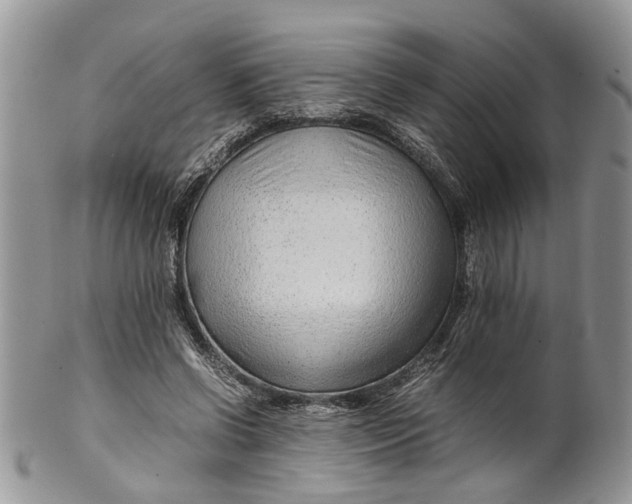 X0000099510542200806051149