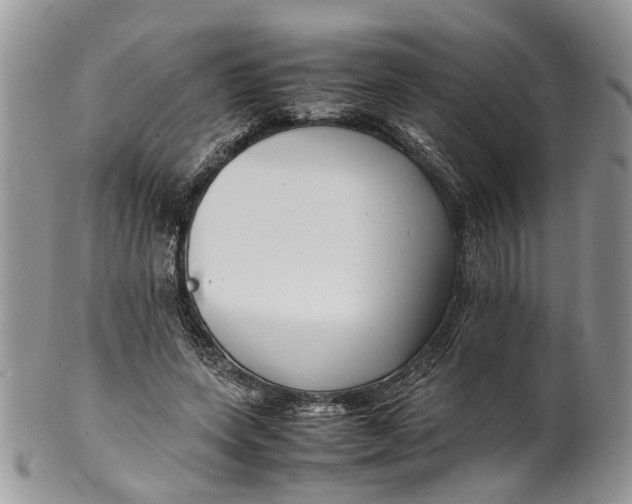 X0000099510543200806051149