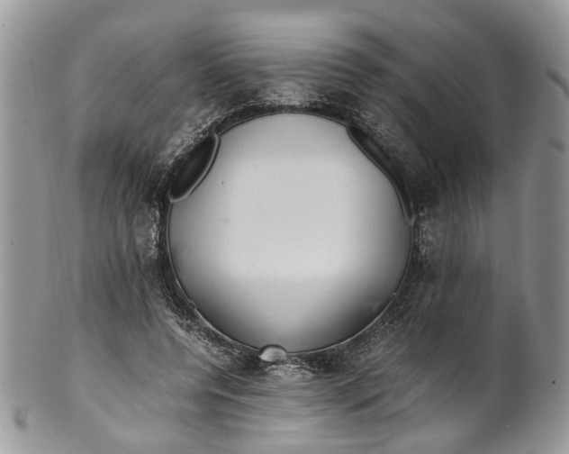 X0000099510544200806051149