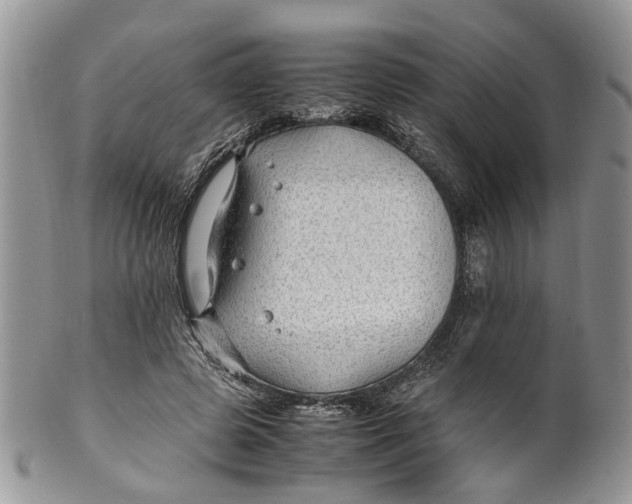 X0000099510545200806051149