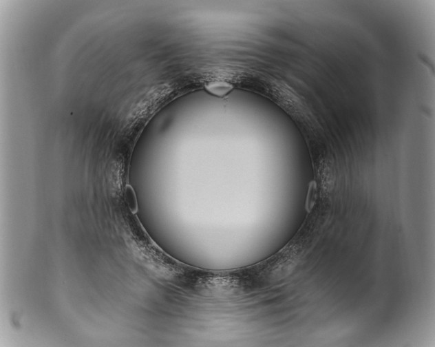 X0000099510546200806051149