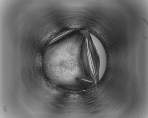 X0000099510547200806051149