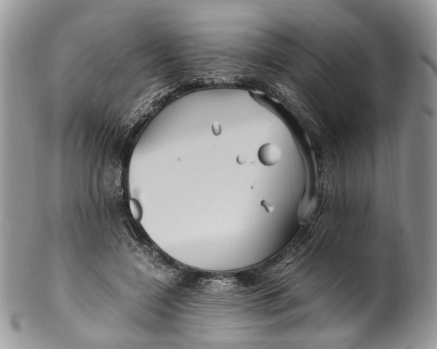 X0000099510548200806051149