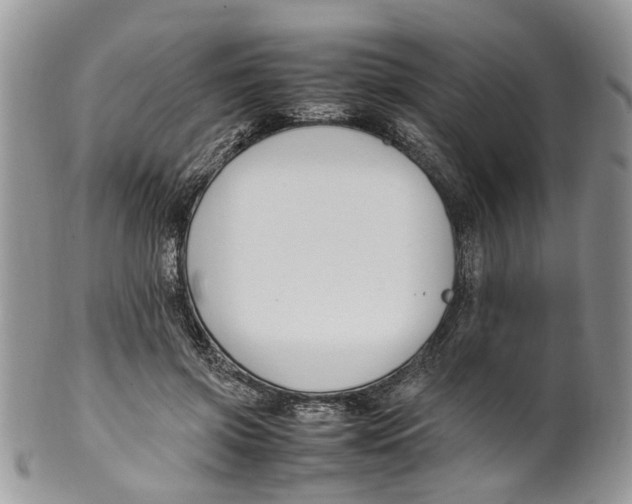 X0000099510549200806051149