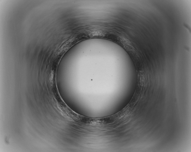 X0000099510550200806051149