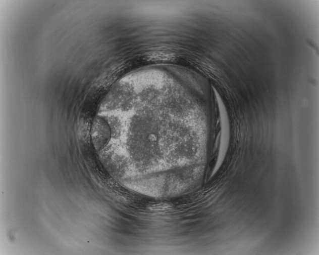 X0000099510551200806051149