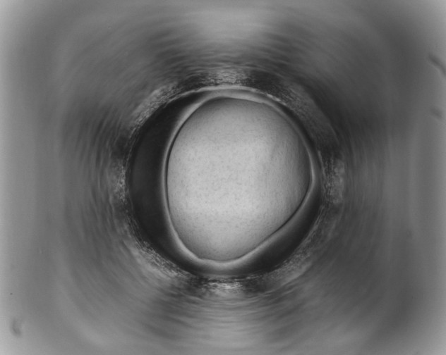 X0000099510552200806051149