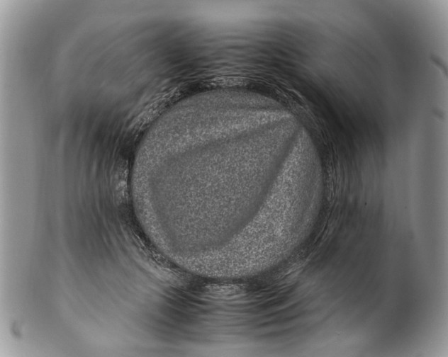 X0000099510553200806051149