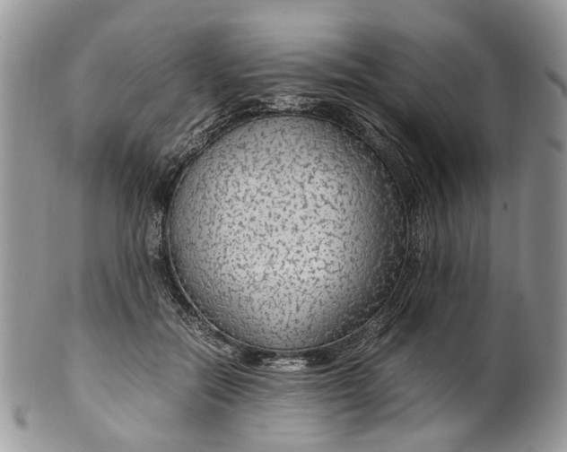 X0000099510554200806051149