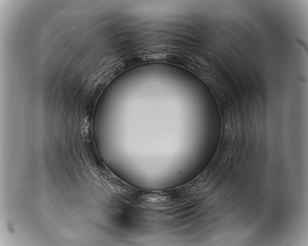 X0000099510555200806051149