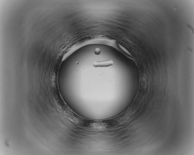 X0000099510556200806051149