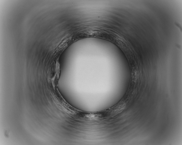 X0000099510558200806051149