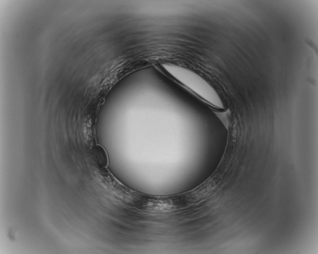 X0000099510559200806051149