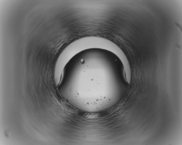 X0000099510560200806051149