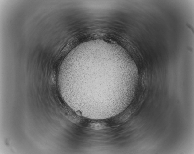 X0000099510561200806051149