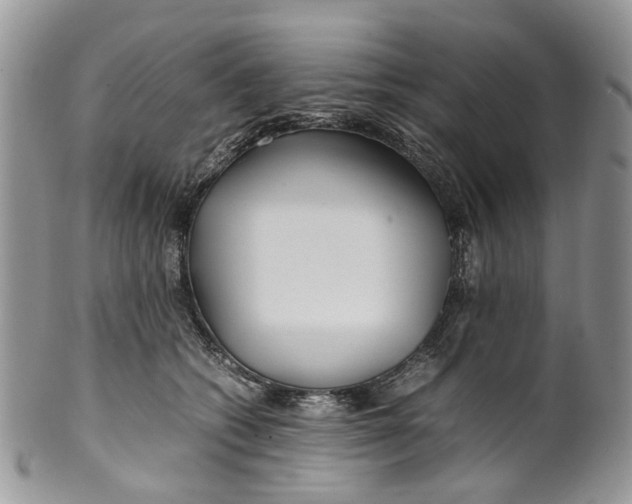 X0000099510562200806051149