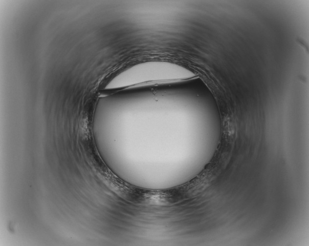 X0000099510564200806051149