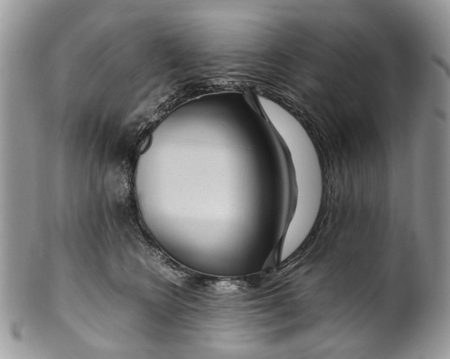 X0000099510566200806051150