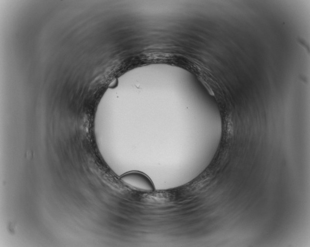 X0000099510567200806051150