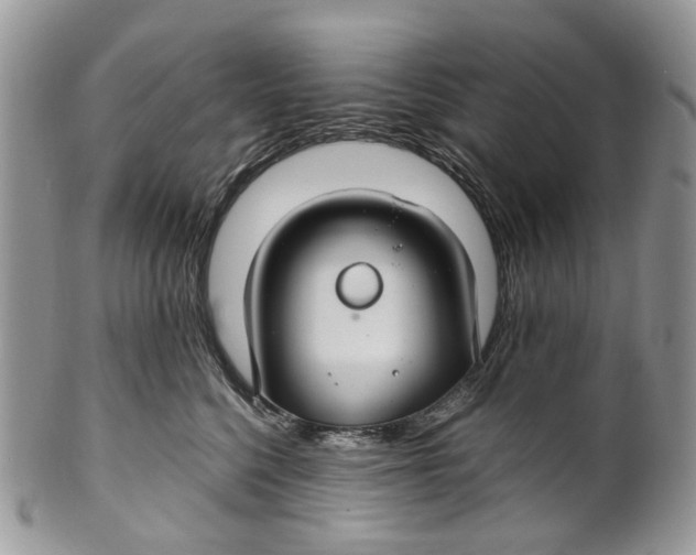 X0000099510568200806051150