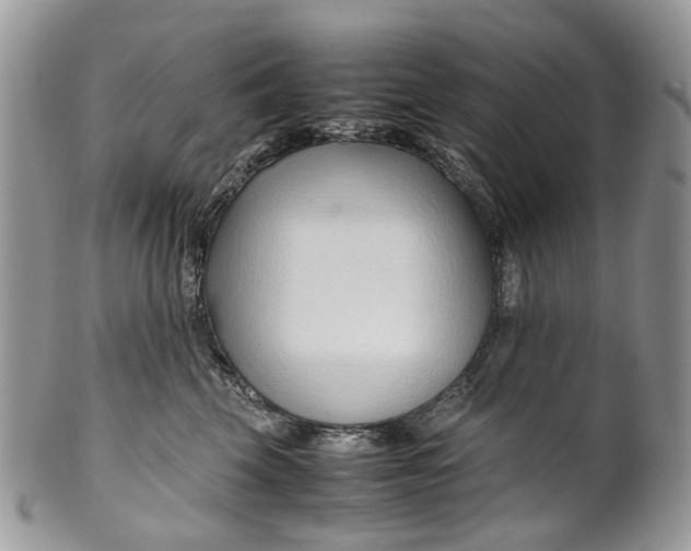 X0000099510569200806051150