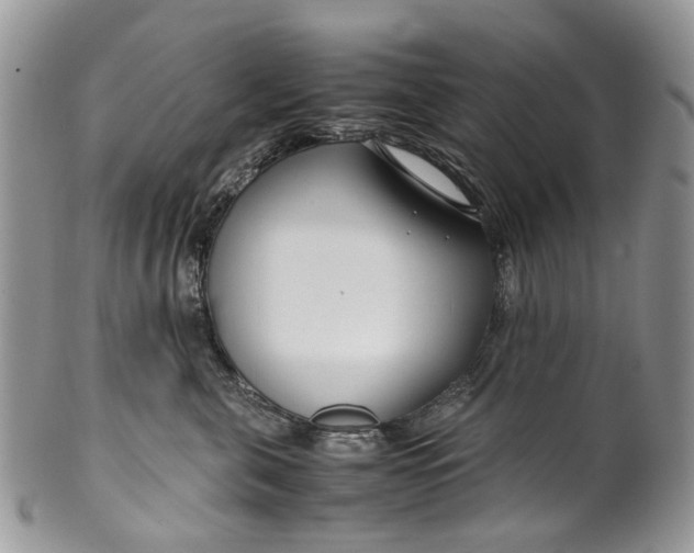 X0000099510571200806051150