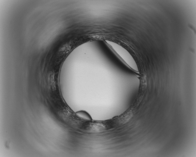 X0000099510572200806051150