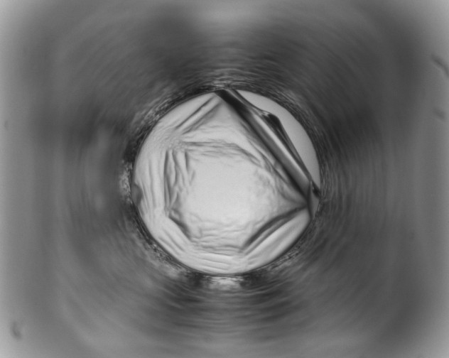 X0000099510573200806051150