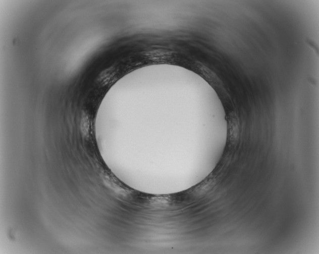 X0000099510574200806051150