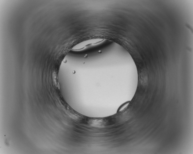 X0000099510575200806051150