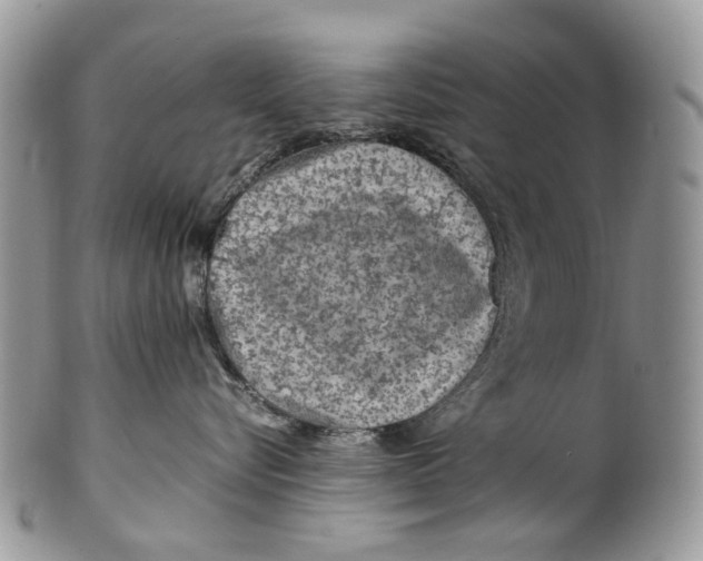 X0000099510576200806051150