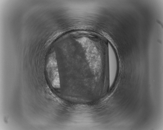 X0000099510577200806051149