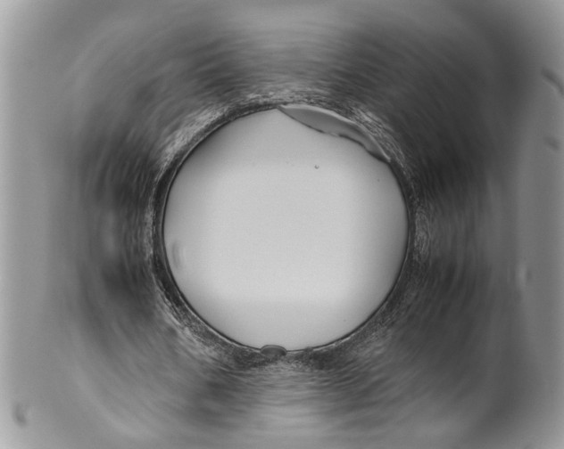 X0000099510578200806051149