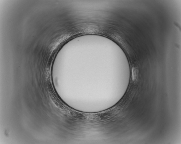 X0000099510579200806051149