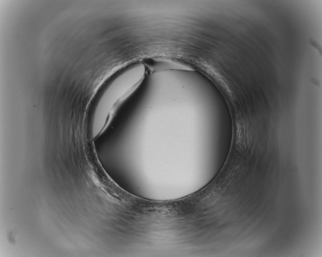 X0000099510580200806051149