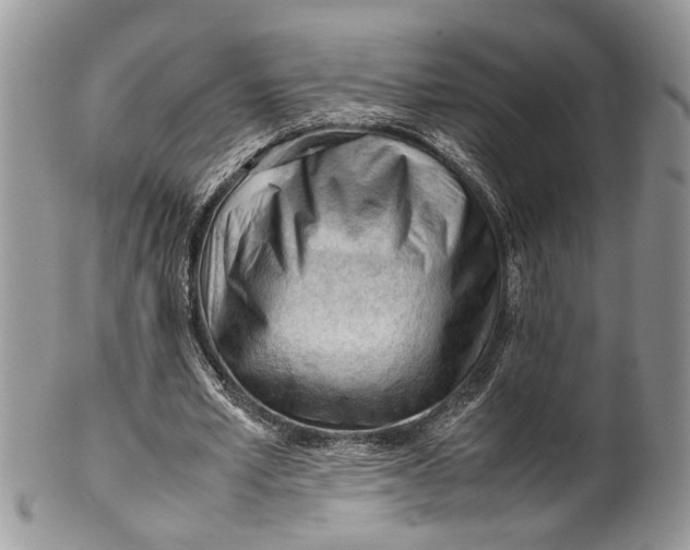 X0000099510581200806051149