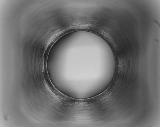 X0000099510582200806051149