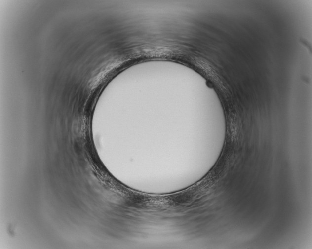 X0000099510583200806051149