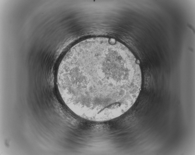 X0000099510584200806051149