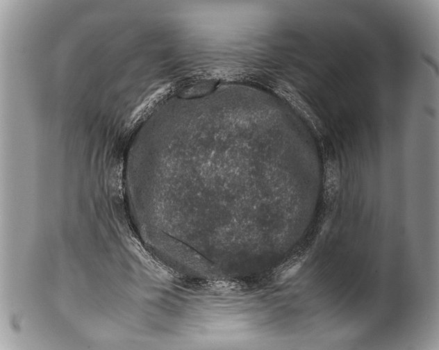 X0000099510585200806051149