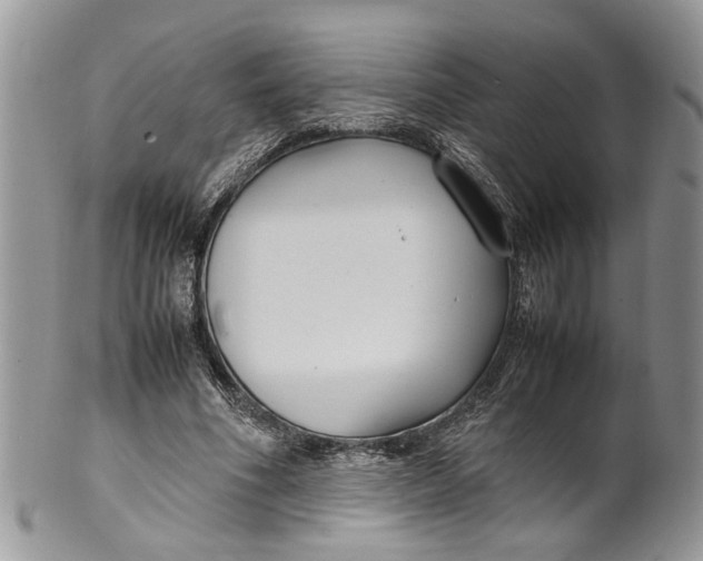 X0000099510586200806051149