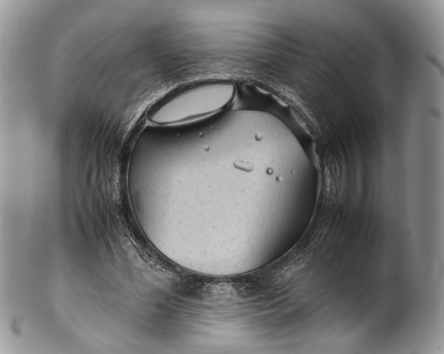 X0000099510588200806051149