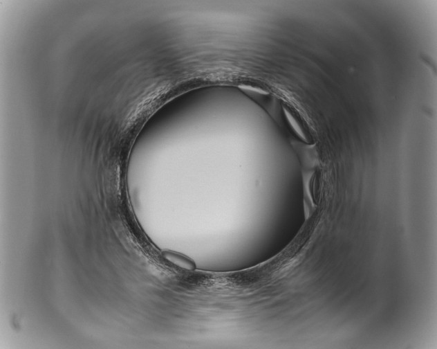 X0000099510589200806051149