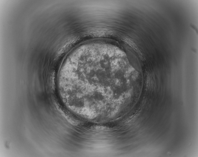 X0000099510590200806051149