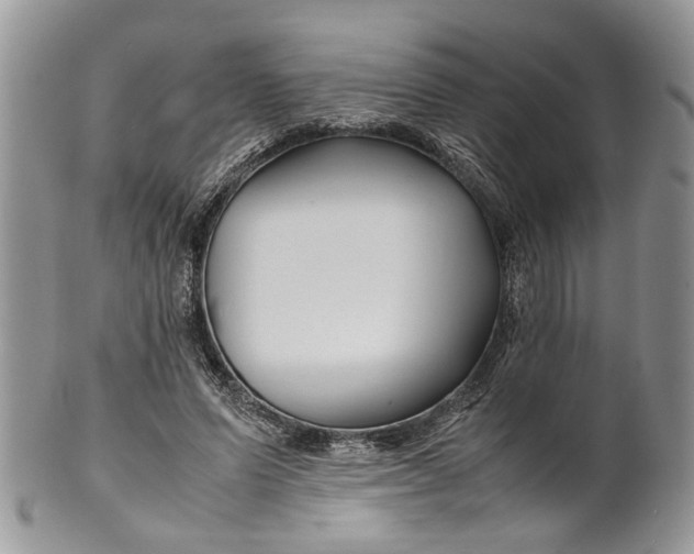 X0000099510591200806051149