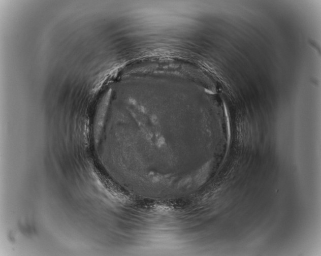 X0000099510592200806051149