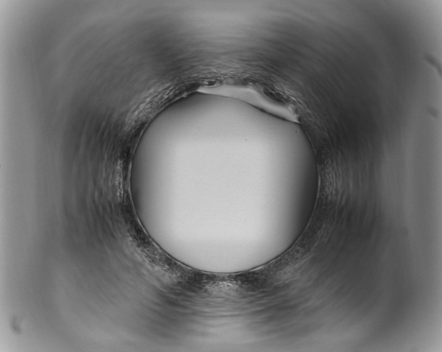 X0000099510594200806051149