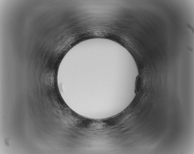 X0000099510595200806051149