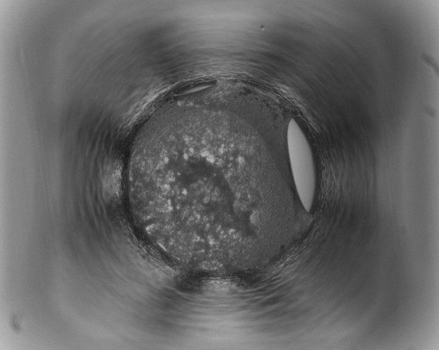 X0000099510596200806051149